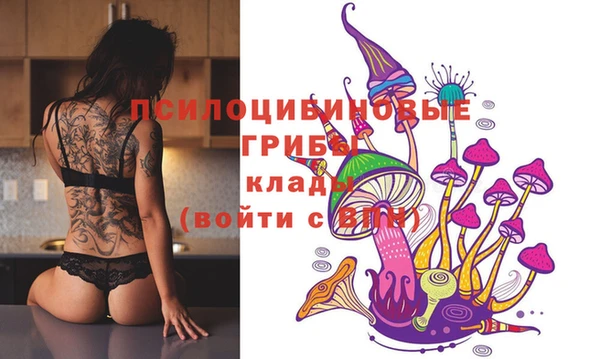 МДПВ Абдулино